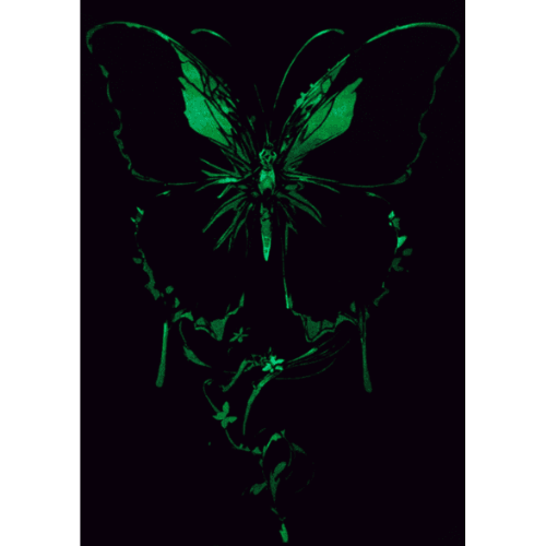 Butterflies Collection (Glow in the Dark)